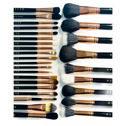 29 piece Professional Brush Set