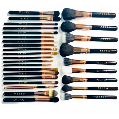 29 piece Professional Brush Set
